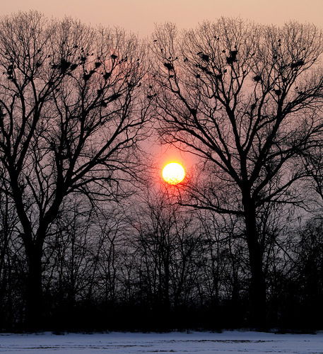 Сонечка Жернакова