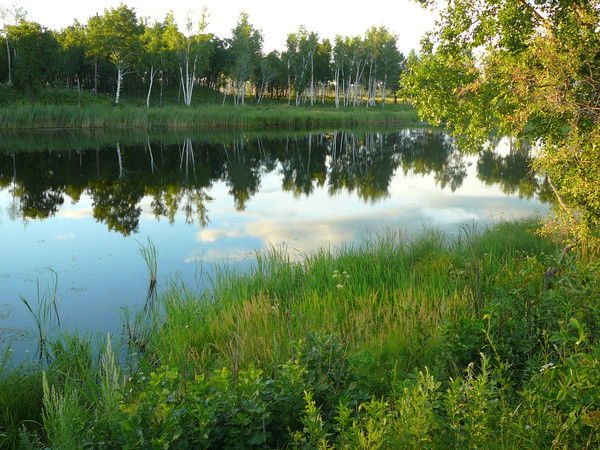 Владимир Федорук