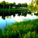 Владимир Федорук