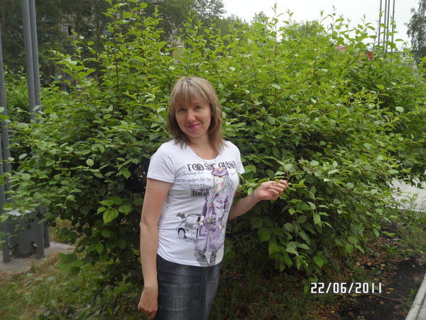 Наталия Осипова