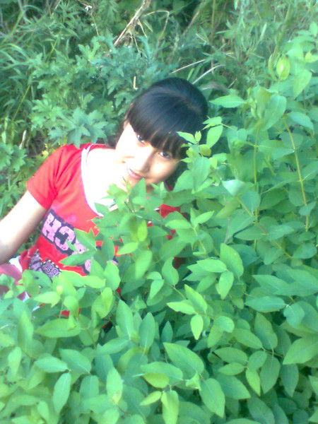 Аида Сарсенова