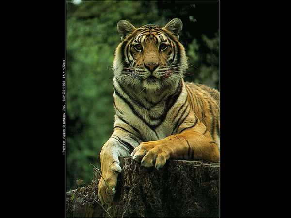 Жолдасбек Бедеров