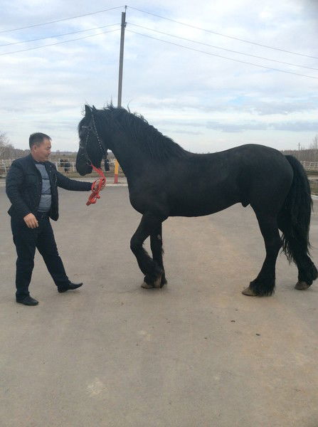 Есет Амалбай