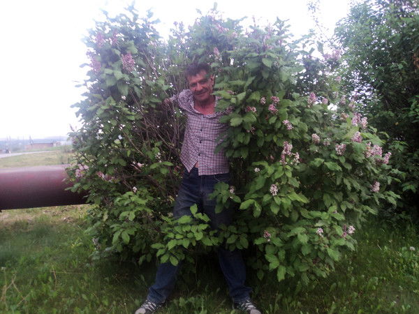 Александр Зименс