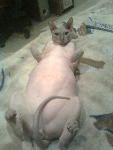 Людмила Герасимова