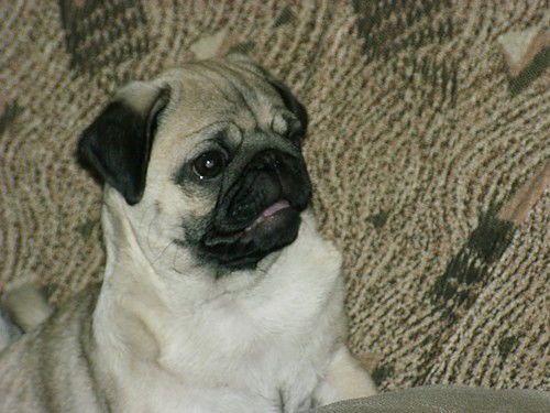 Ааи Кпипкерт