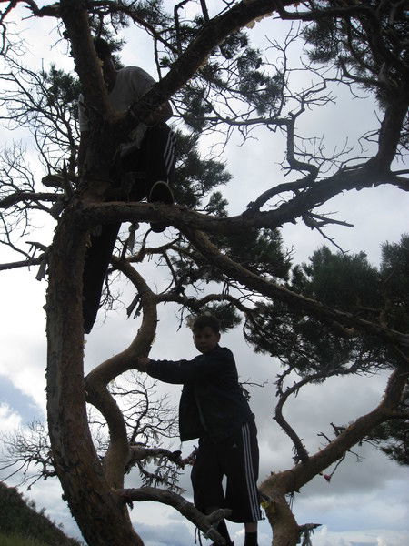 Валентин Печников