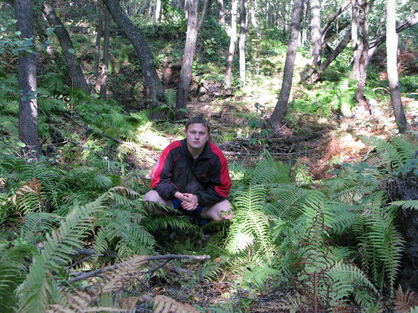 Юрий Сергеев