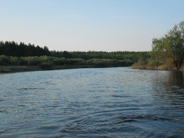 Татьяна Гришаева