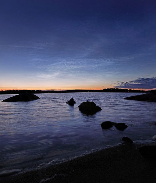 Алексей Януш