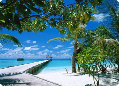 Алена Донченко