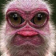 Жуть Жуткая