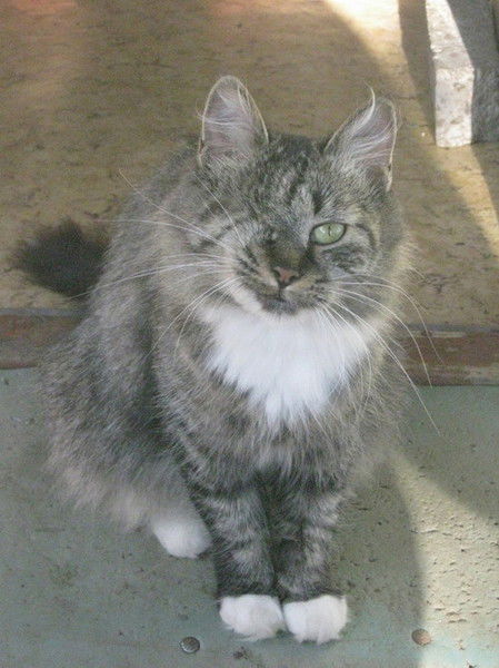 Виталий Семёнов