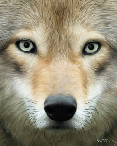 Светлана Хасанзанова