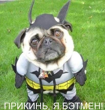 Майоров Евгений Зф