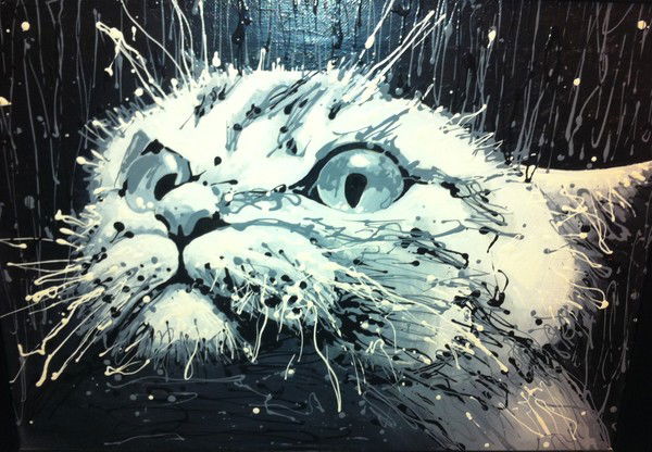 Чингиз Шалбасов