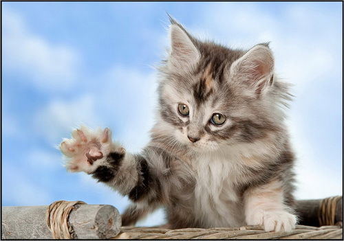 Галина Храмова