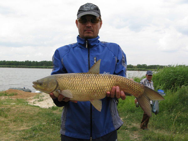 Александр Идиатулин
