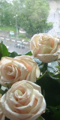 Юленька Алексеева