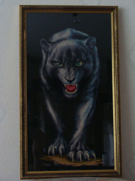 Максим Андреев