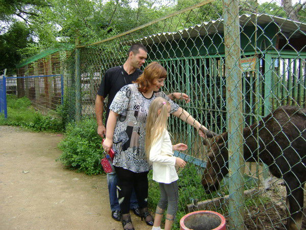 Виктория Кись