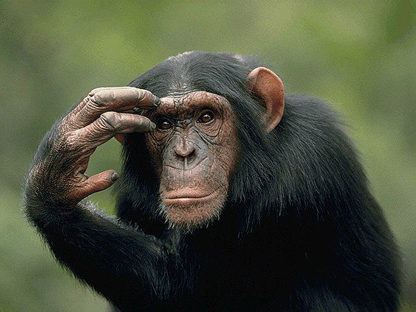 Александр Струк