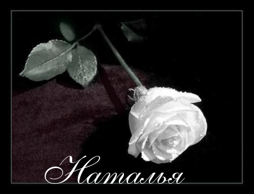 Наталья Бурдакова