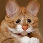 Игорь Семёнов