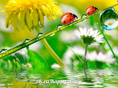 Светлана Утепбергенова