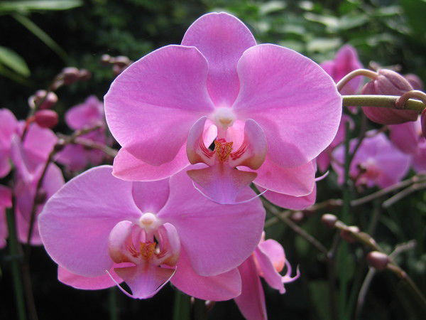 Татьяна Филатова