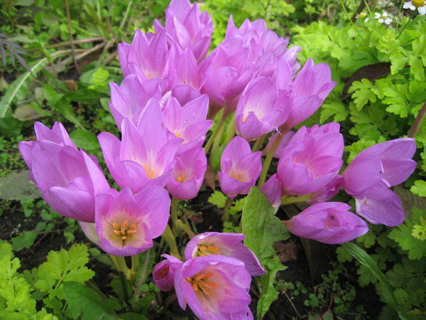 Анара Бейсенбаева