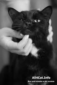 ?мечты_Сбудутся? *