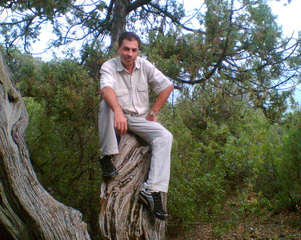 Дмитрий Донской