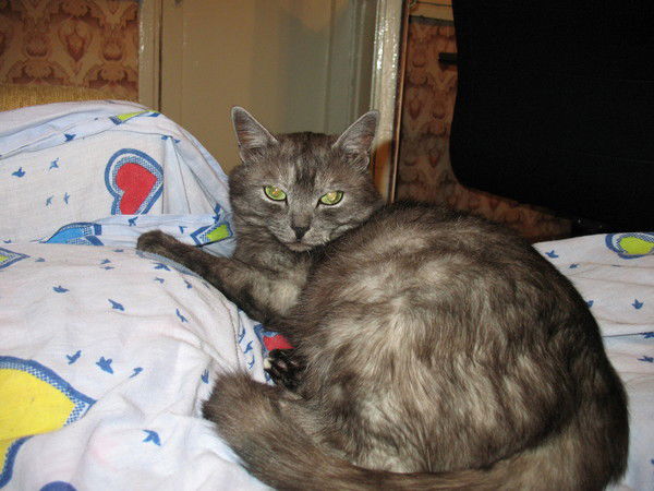 Вадим Фоменко