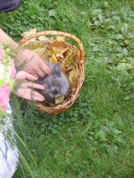 Надежда Будкина