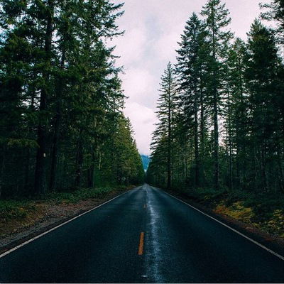 Ксения Плеханова