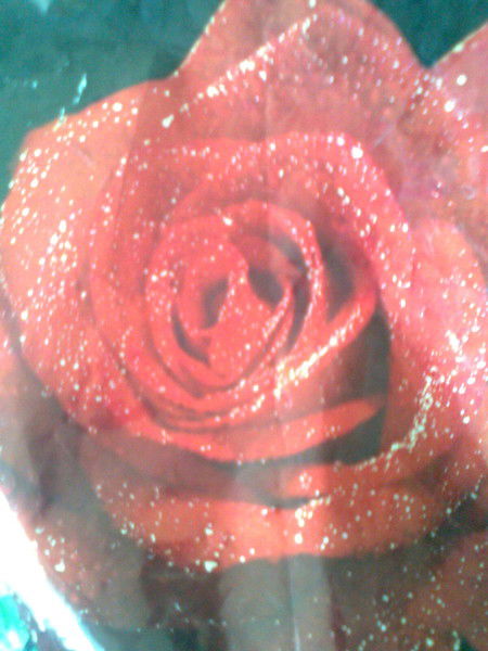 Оксана Федорова