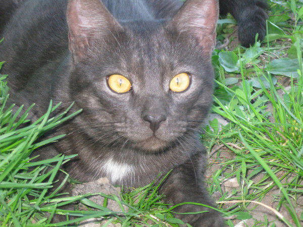 Варвара Заитова