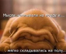 Николай Рудич