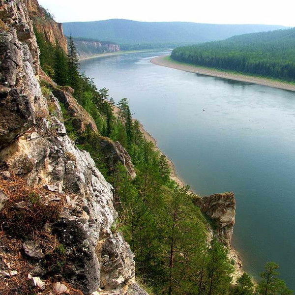 Елена Лапкарева