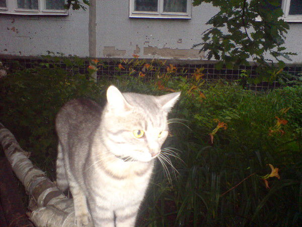 Настя Ширяева