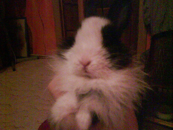 Кристина ***