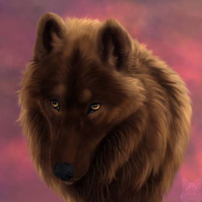 Ольга Сокуренко