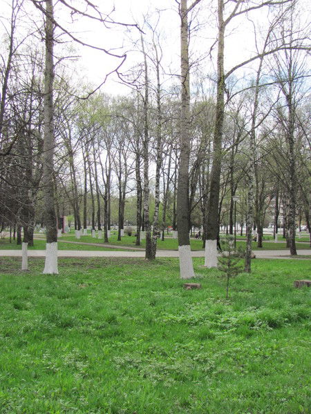 Люба Селезнева