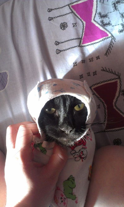 Ксения Харланова