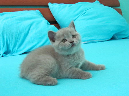 Талгат Инкарбеков