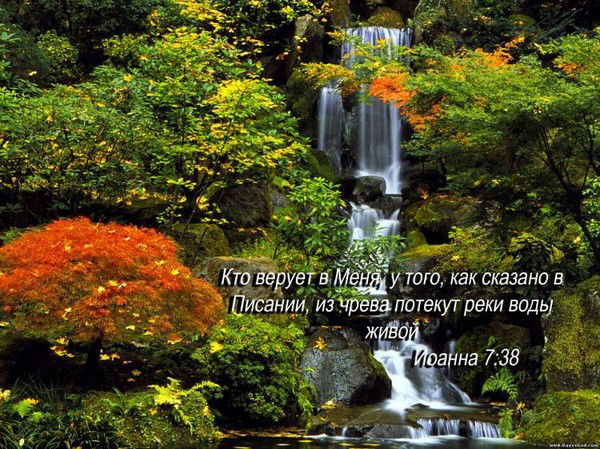 Сергей Паршаков