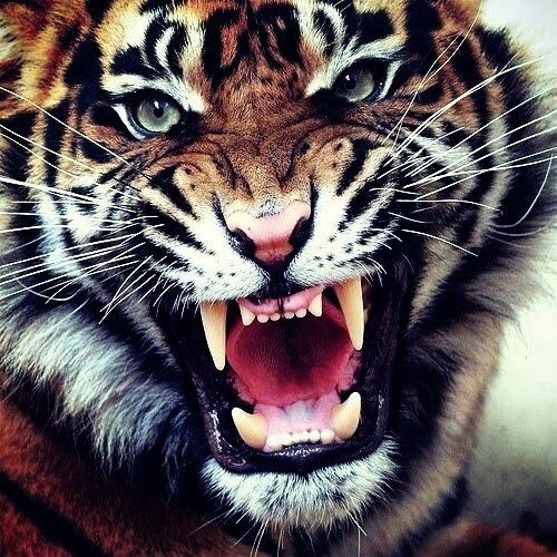 Неважно... =)))