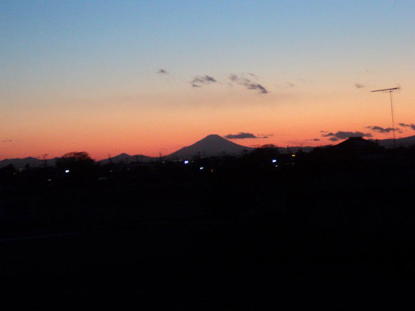 Алексей Петухов