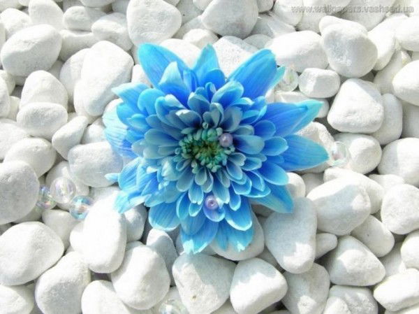 Катерина Несват